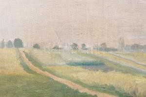 Szőnyi jelzéssel: Táj. Olaj, karton. Dekoratív, antik, kissé sérült fakeretben, 40×30 cm