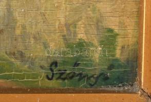 Szőnyi jelzéssel: Táj. Olaj, karton. Dekoratív, antik, kissé sérült fakeretben, 40×30 cm