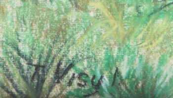 T. Visy Ilona (1920-2023): Kilátás a Svábhegyről (Budai panoráma), 1980 körül. Pasztell, papír. Jelz...