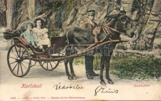 Karlovy Vary horse carriage