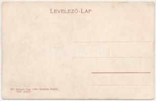 Kudzsir, Kudsir, Cugir; M. kir. állami elemi iskola. Hangya szövetkezet kiadása / elementary school