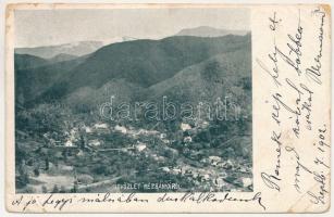 1902 Rézbánya, Baita; látkép / general view (b)