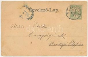 1902 Rézbánya, Baita; látkép / general view (b)