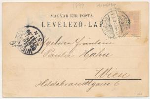 1899 Segesvár, Schässburg, Sighisoara; Teilansicht mit Schulberg, Ev. Bürgerschule, Teilansicht der ...