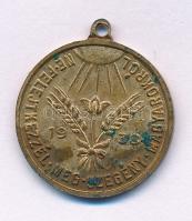 1938. "Boldogasszony anyánk / Ne felejtkezzél meg szegény magyarokról" aranyozott Cu kegyérem (20mm) T:XF patina