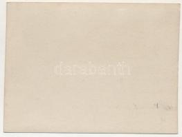 Felsővisó, Viseu de Sus (Máramaros, Maramures); Rumän. Zwerg (Lehrer u. Gemeindeschreiber) aufs Gehö...