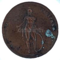 Ausztria 1814. "Carolus princeps a Schwarzenberg / Marti Pacifero" kétoldalas bronz emléké...