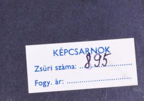 Rekeszzománc kép, hátoldalon Képcsarnok címkével, keretben, 14x7 cm