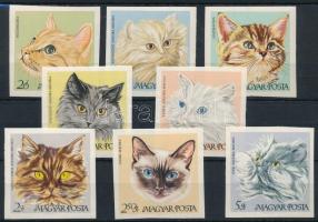 1968 Macskák vágott sor