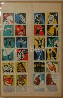 56 db ritka gyufacímke, sorozatok (német, angol, magyar)