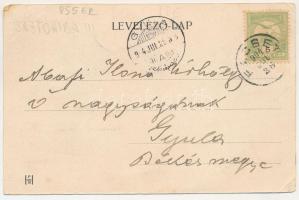 1904 Facset, Facsád, Faget; Magyar király szálloda, Mohilo Árpád üzlete, Molnár-féle könyvnyomda. Mo...