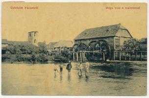 1909 Facset, Facsád, Faget; Bega vize a malommal. Klein Dávid, W.L. (?) 1421. / River Bega with mill (EB)