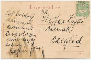 1909 Facset, Facsád, Faget; Bega vize a malommal. Klein Dávid, W.L. (?) 1421. / River Bega with mill...