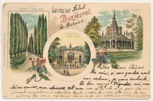 1902 Buziásfürdő, Baile Buzias; Árok fasor, Pavillon, étterem, József forrás. Armin Schatteles / Graben Allee, Pavillon Restaurant, Josefs-Quelle / promenade, spring source, restaurant, pavilion. Art Nouveau, floral, litho (r)