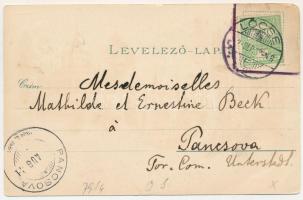 1902 Buziásfürdő, Baile Buzias; Árok fasor, Pavillon, étterem, József forrás. Armin Schatteles / Gra...