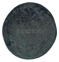 Csehország (történelmi tartomány) / Szilézia 1696. 3pf billon "I. Lipót" Brieg (0,46g) T:VF Bohemia / Silesia 1696. 3 Pfennig billon "Leopold I" Brzeg (0,46g) C:VF