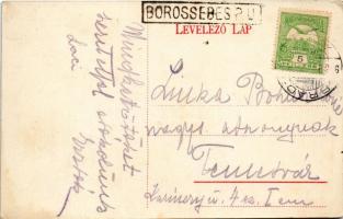 Menyháza, Monyásza, Moneasa; Paradeiser villák / villas + "Borossebes p.u." (EK)