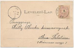 1899 Petrozsény, Petroseni, Petrosani; Pályaudvar, vasútállomás, gőzmodony. Joánovits és Sternád kia...