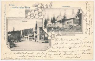 1902 Szebenjuharos, Hohe Rinne, Paltinis; Kurhaus, Touristenhaus / Gyógyházak, Turistaházak. Karl Graef / spa and tourist houses. Art Nouveau, floral