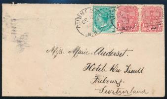 New South Wales 1904