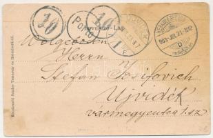 1903 Herkulesfürdő, Baile Herculane; Hercules tér. Szecessziós litho montázs patkóval és lóherével /...