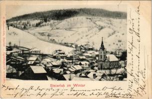 Stájerlak, Steierlak, Stájerlakanina, Steierdorf, Anina; Látkép télen. G. Florianschütz kiadása / view in winter (fa)