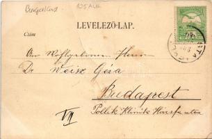 Stájerlak, Steierlak, Stájerlakanina, Steierdorf, Anina; Látkép télen. G. Florianschütz kiadása / vi...