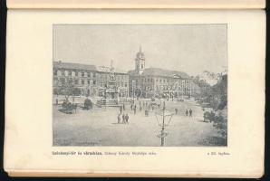 Kiss József: Pécs és környéke. Vezetőkönyv a városban és annak környékén. Pécs, 1894, Mecsek-Egyesül...