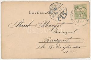 1905 Vajnafalva, Voinesti (Kovászna, Covasna); Fő tér. Julius Müller utóda kiadása / main square (ap...