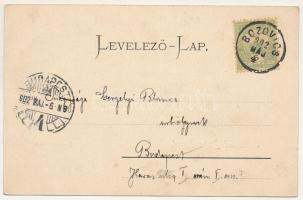 1902 Bozovics, Bozovici; Herculesfürdői út, Sparger Ignác üzlete / street, shop (EK)