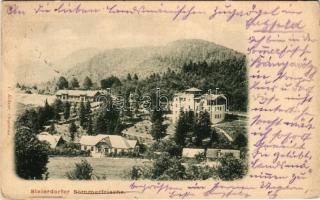 Stájerlak, Steierlak, Stájerlakanina, Steierdorf, Anina; Nyaraló. C. Kehrer kiadása / Sommerfrische / villa (Rb)