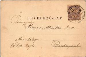 1901 Orsova, Al-Duna, Babagája szikla. Hutterer G. kiadása / Der Babagay-Felsen / Babagaj rock (fl)