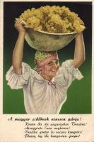 Hungarian grapes; Mega Wine producers Cooperation (EK)