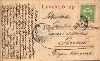 1908 Stájerlak, Steierlak, Stájerlakanina, Steierdorf, Staier, Anina; Freidenthal Villencolonie / Fr...