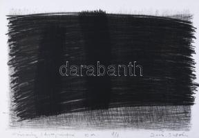 Biró Andrea (-): My prison, 2006. Litográfia, papír, jelzett, művészpéldány E.A. 7/8 számozással, 32x49 cm