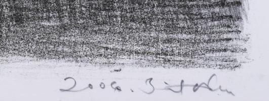 Biró Andrea (-): My prison, 2006. Litográfia, papír, jelzett, művészpéldány E.A. 7/8 számozással, 32...