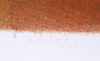 Biró Andrea (-): Megközelítő, 2004. Litográfia, papír, jelzett, művészpéldány E.A. 5/10 számozással,...