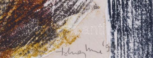 Tolnay Imre (1968-): Cím nélkül, 1999. Litográfia, papír, jelzett. 50x35 cm