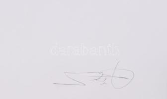 Szőcs Géza (1967-): (...) történet. Rézkarc, papír, jelzett, művészpéldány EA I/I számozással. 65x48...