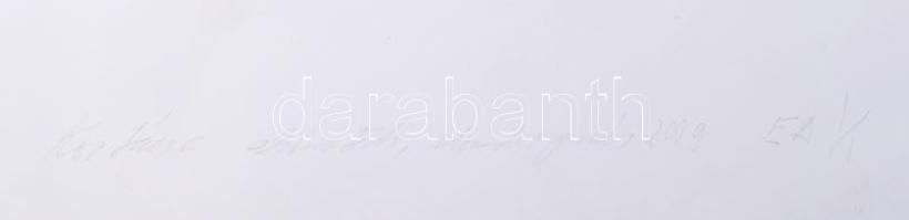 Szőcs Géza (1967-): Körtánc, 2009. Aktív technika, dombornyomás, papír, jelzett, művészpéldány EA I/...