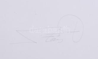 Szőcs Géza (1967-): Körtánc, 2009. Aktív technika, dombornyomás, papír, jelzett, művészpéldány EA I/...