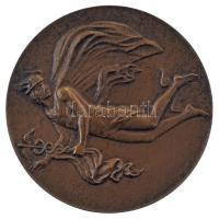 Szovjetunió 1981. "Szovjet Kereskedelmi és Iparkamara" kétoldalas bronz emlékérem (70mm) T...