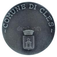 Olaszország DN "Commune di Cles" kétoldalas, ezüstözött bronz emlékérem. Szign.: C. Sebest...