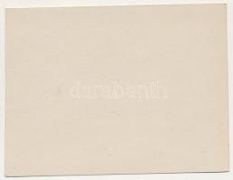 Felsővisó, Viseu de Sus (Máramaros, Maramures); Volkstypen / erdélyi folklór / Transylvanian folklor...