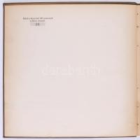 Megfagyott Muzsikus 1931. [19. évfolyam.] (Írták és rajzolták az építészhallgatók. Kiadták a harmadé...