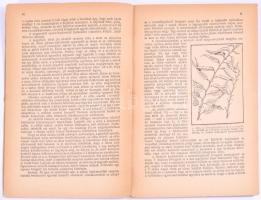 2 db - Horn János: Körte termesztése + Őszibarack termesztése. 1936, 1937, Növényvédelem és Kertésze...