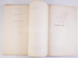 1891 Bánhorváth kisközség (ma Bánhorváti része) felvételi előrajzai 30 db nagy méretű kézzel rajzolt...