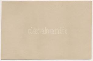 Felsővisó, Viseu de Sus (Máramaros, Maramures); v. Südwest / látkép / general view. photo (13,7 cm x...