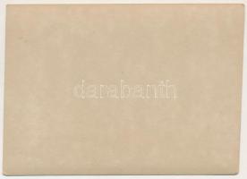 Felsővisó, Viseu de Sus (Máramaros, Maramures); Gesamtansicht v. Nordwest / látkép / general view. p...