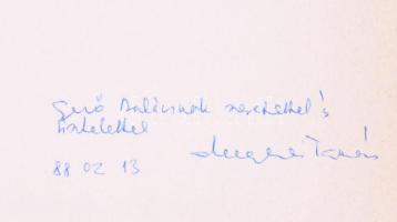 Meggyesi Tamás: A városépítés új útjai és tévútjai. A szerző, Meggyesi Tamás (1936-) Széchenyi-díjas...